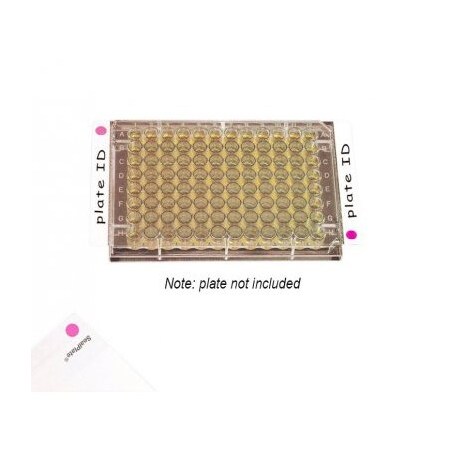 Excel Scientific SealPlate ColorTab Film, Non-Sterile, Red, 100/pk, 100PK 202527R